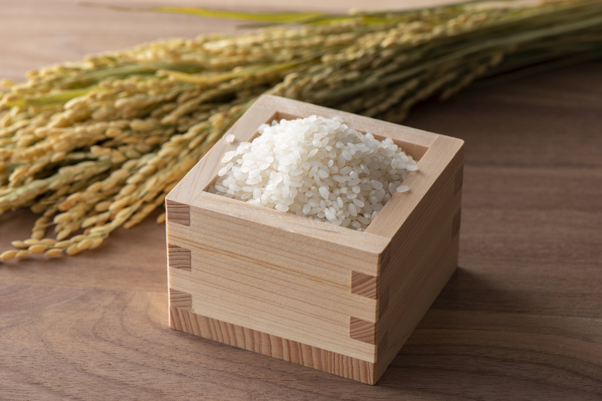 みやぎ米屋, 石垣島産米, 新米, お米, 石垣島, 星の美しゃ, ひとめぼれ, 於茂登のひかり, 米屋, 日本一早い新米